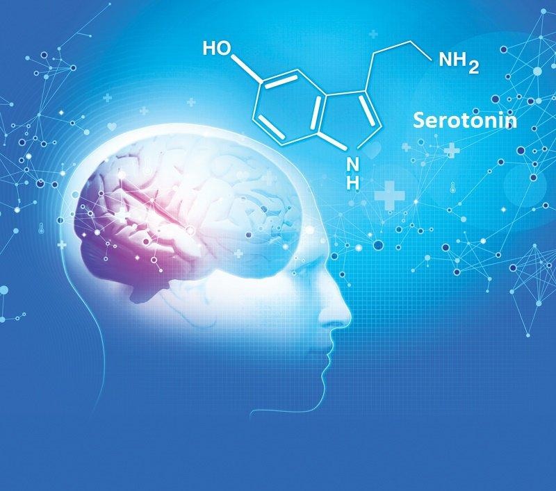 Thiếu nồng độ serotonin trong não bộ là nguyên nhân cốt lõi dẫn đến mất ngủ kéo dài